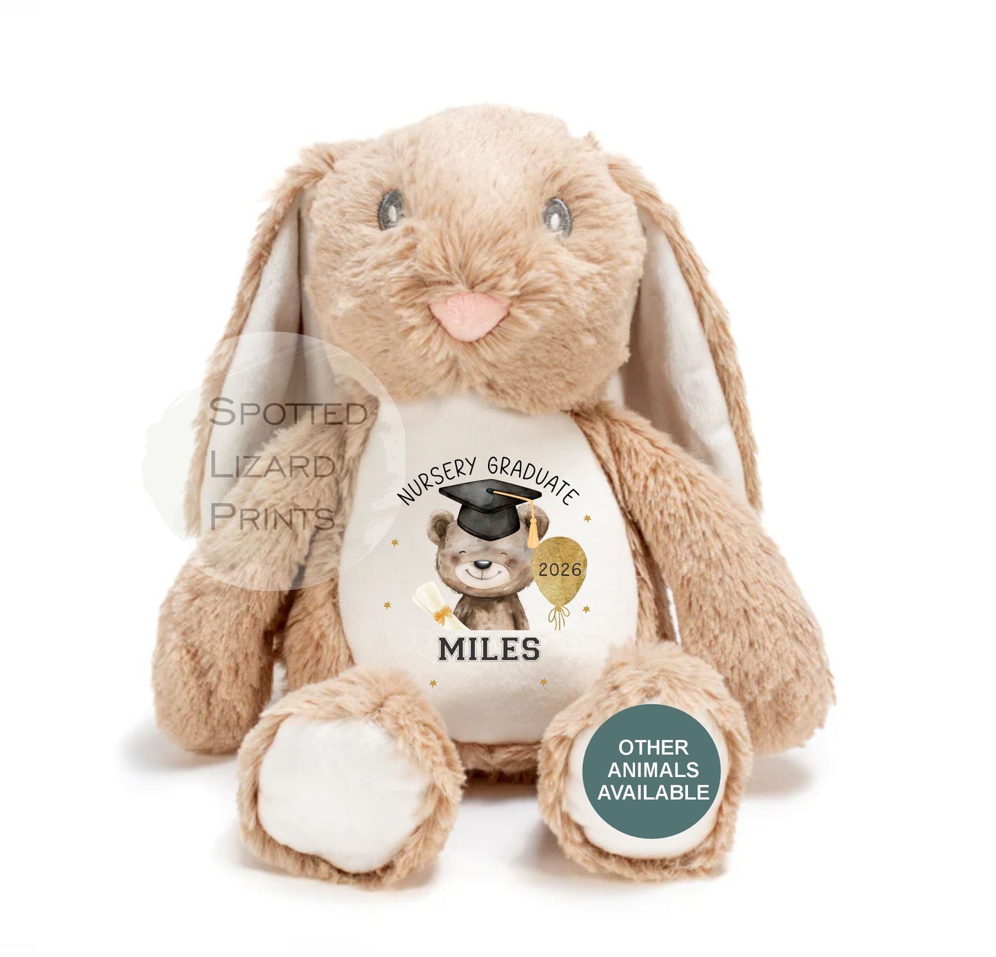 Personalised Graduation Soft Toy, Graduate Keepsake Teddy, Nursery Leaver, Preschool Leaver Teddy, Graduation Gift 2026 University Graduate