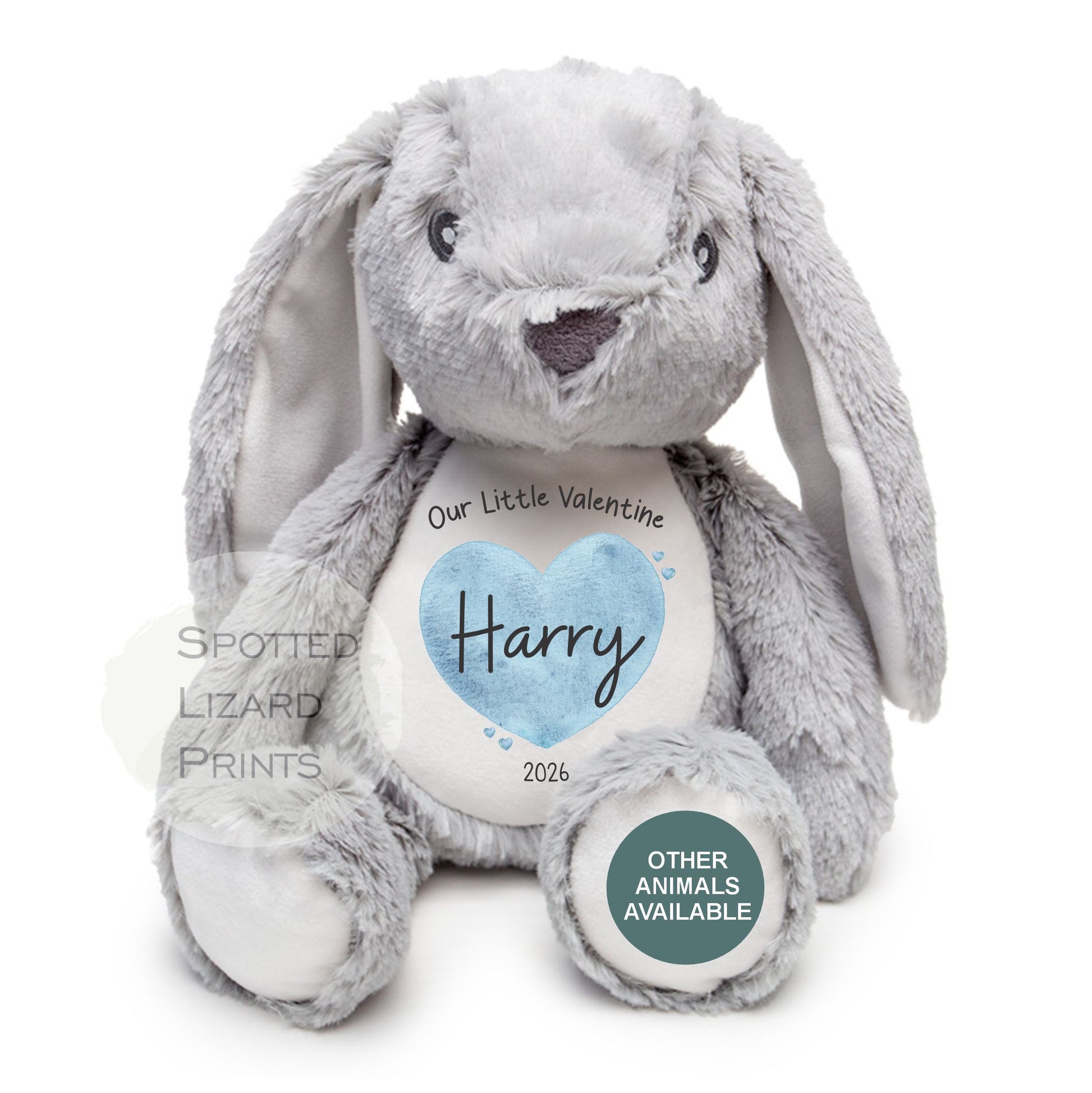 first valentines day teddy