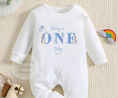 Peter rabbit baby clothing