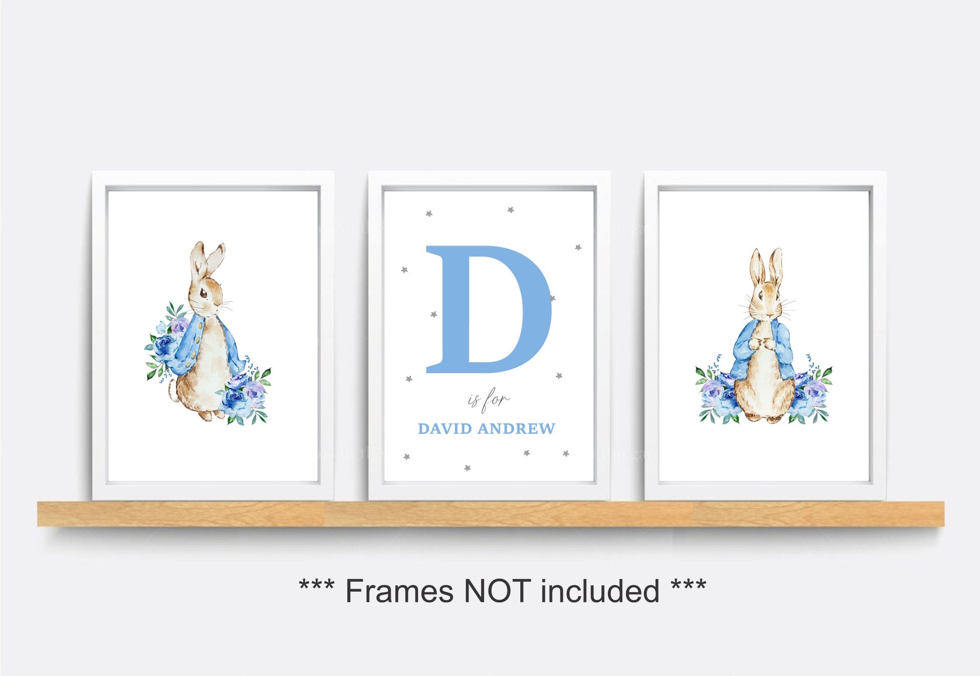 peter rabbit decorative wall art