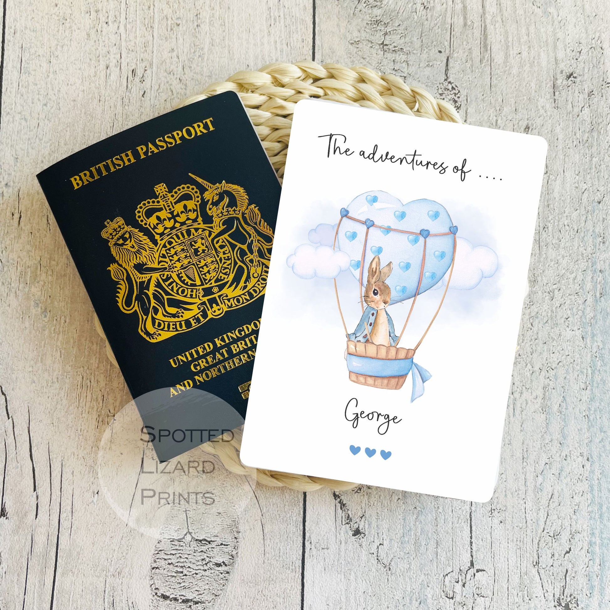 https://spottedlizardprints.com/cdn/shop/files/Peter_Rabbit_Blue3.jpg?v=1724688918&width=1946