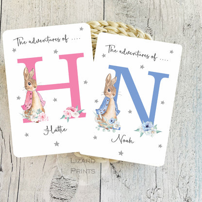 Personalised First Passport Cover - 1st Passport Holder - Peter Rabbit Passport Cover - Baby Passport Holder - First Holiday - New Baby Gifts