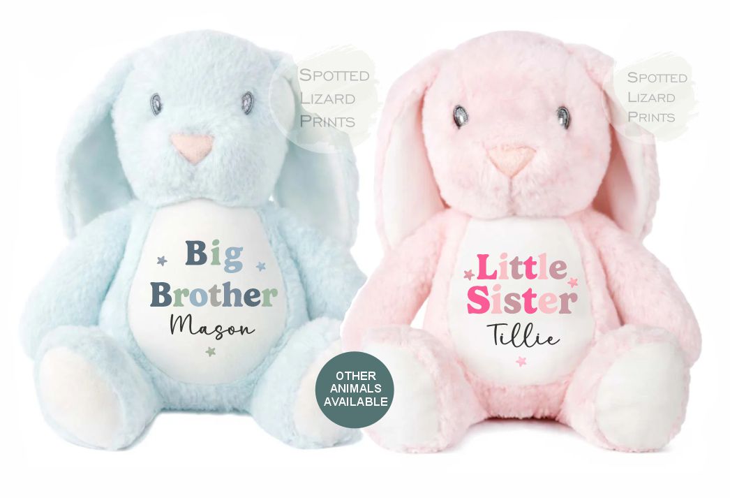 Sibling Teddy, Big Brother & Little Brother Dinosaur Big Sister, Little Sister Unicorn, New Baby Gift Teddy