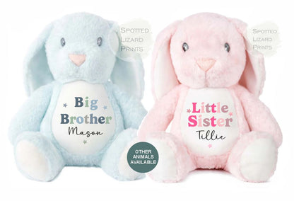 Sibling Teddy, Big Brother & Little Brother Dinosaur Big Sister, Little Sister Unicorn, New Baby Gift Teddy