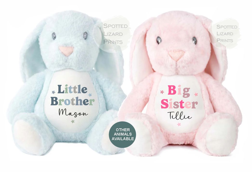 Sibling Teddy, Big Brother & Little Brother Dinosaur Big Sister, Little Sister Unicorn, New Baby Gift Teddy