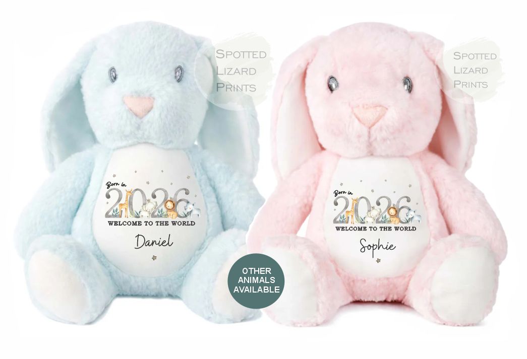 Personalised Born in 2026 Soft Toy Name, Welcome to the World - Baby Shower - Baby Gift - Baby Girl Baby Boy - personalised baby gift