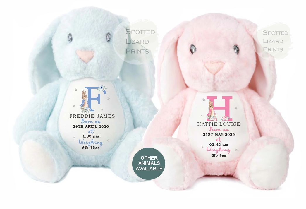 Personalised Soft Toy , New Birth Gift, Baby Shower Gift, New Baby Gift, Baby Keepsake