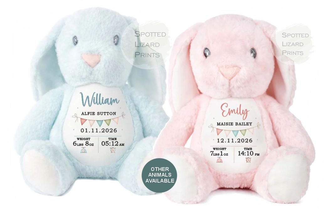 Personalised Soft Toy,New Birth Gift,Baby Shower Gift,New Baby Gift,Baby Keepsake, Baby Boy,Newborn Gift, Bunny Toy, Teddy,New Parents