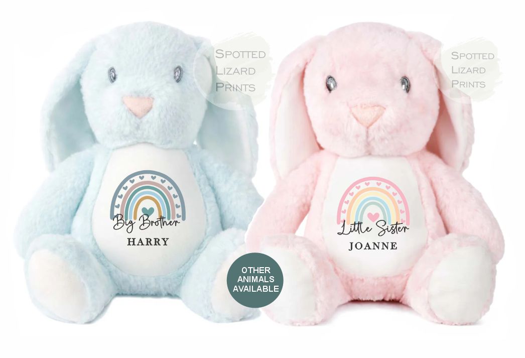 Big Brother, Little Brother, Big Sister, Little Sister Teddy