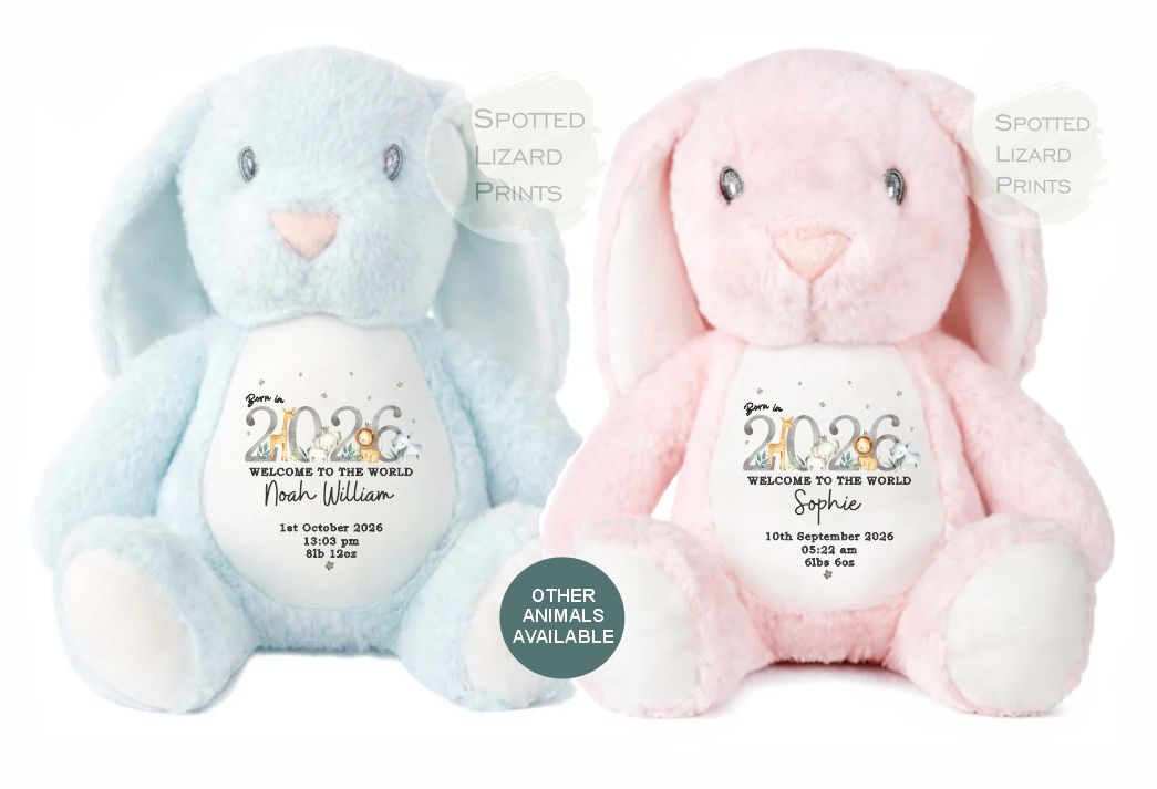 personalised born in 2026 teddy