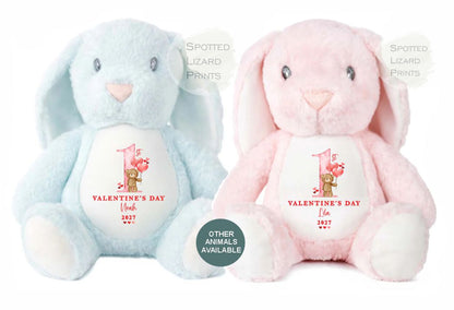 Personalised Valentines Teddy Bear, personalised Valentines Gift, Gift for Girlfriend, Valentines Day soft Toy, Gift for Her