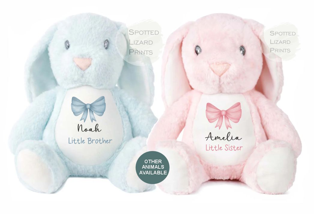 Little Brother Little Sister Teddy