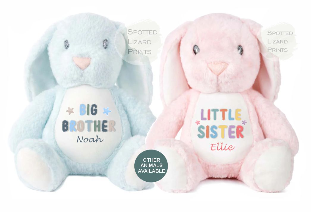 Sibling Teddy