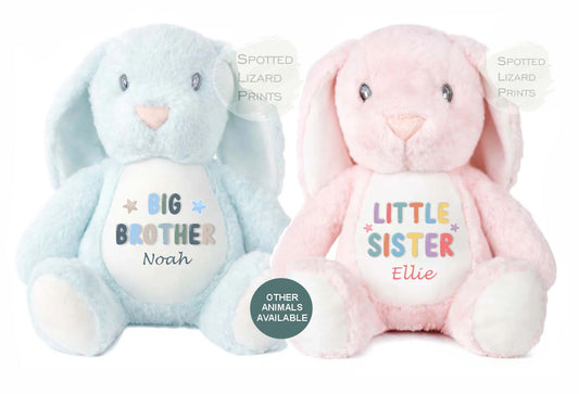 Sibling Teddy