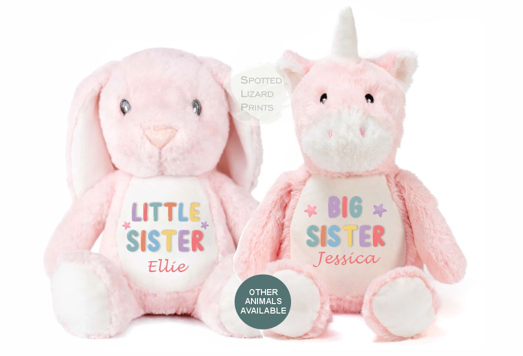 Sibling Teddy