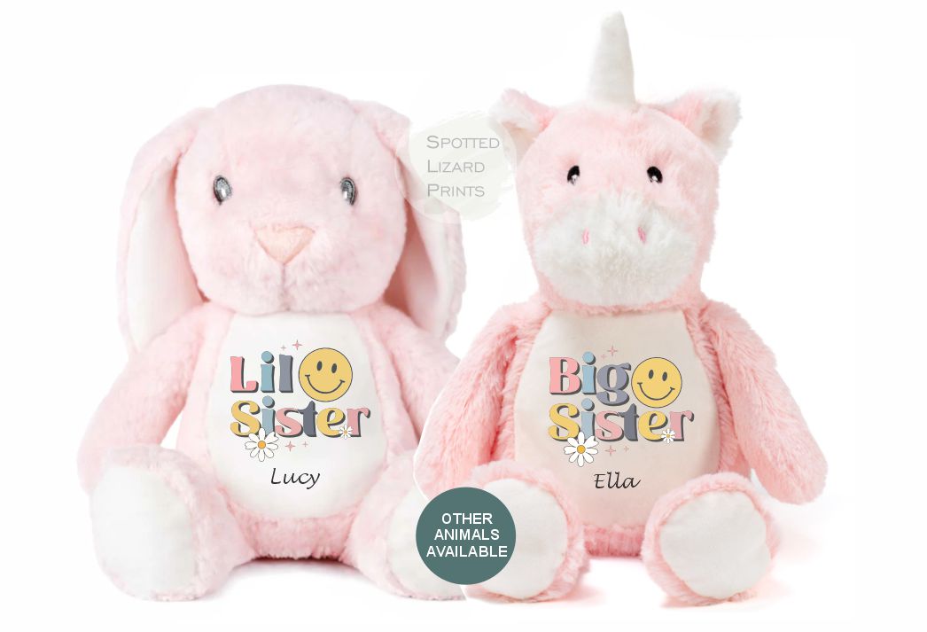 Big Sister, Little Sister Teddy
