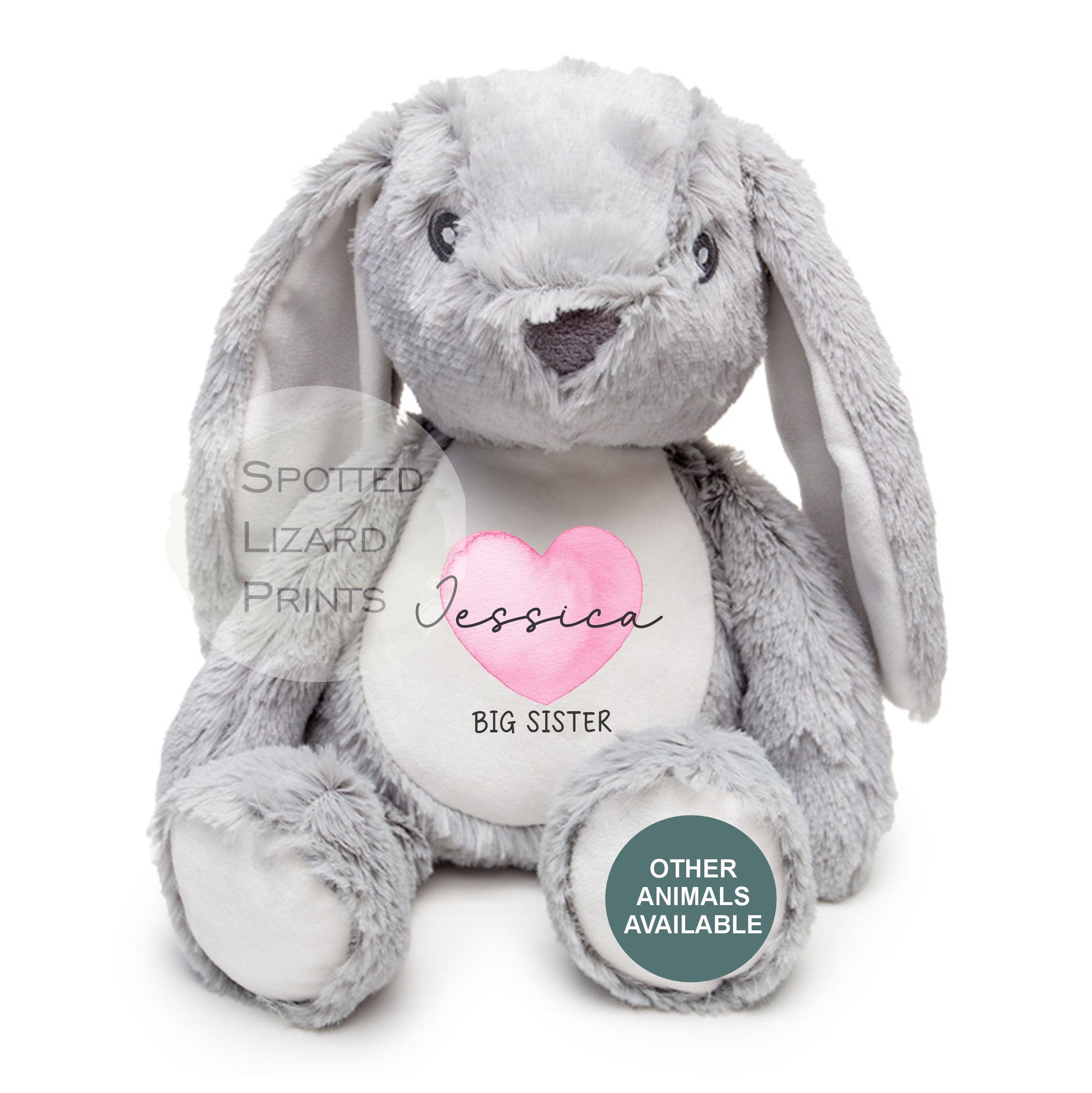 Matching Sibling Teddy, Big Sister & Little Sister, Big Brother, Little Brother, New Baby Gift Teddy (Copy)