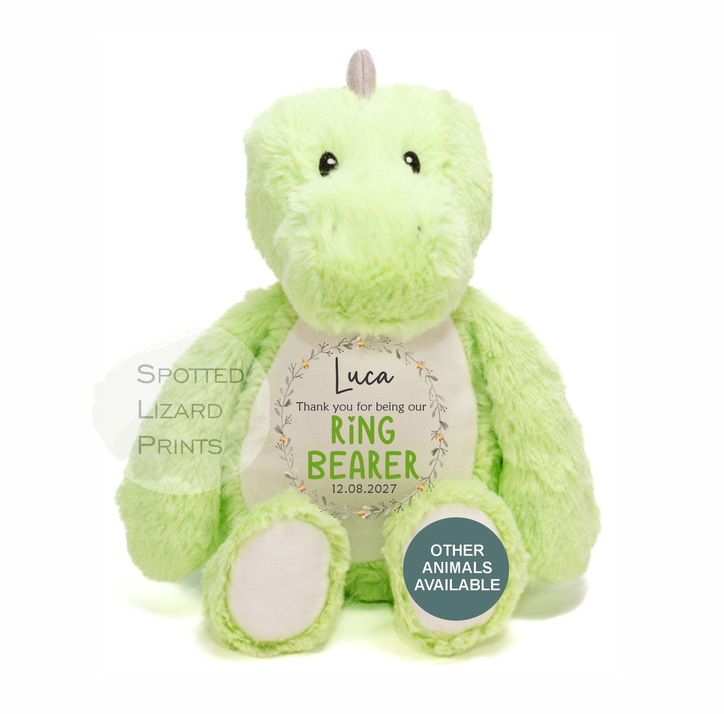 personalised page boy dinosaur