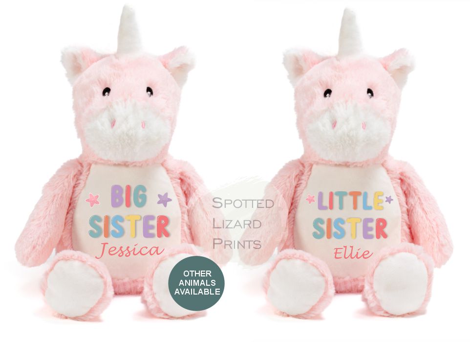 Matching Sibling Teddy, Big Sister & Little Sister Unicorn, Big Brother, Little Brother Dinosaur, New Baby Gift Teddy