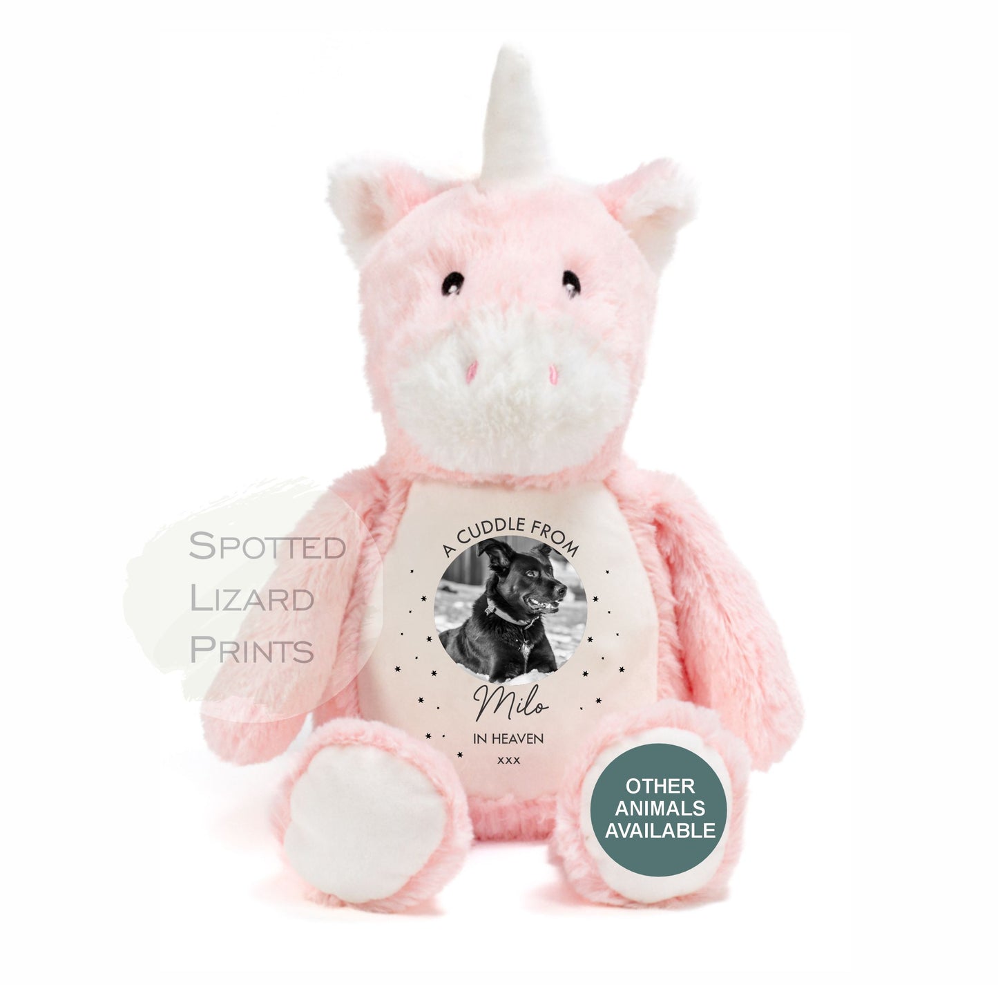 Loss of pet teddy
