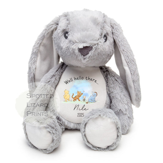 Personalised Born in 2026 Soft Toy Name, Welcome to the World - Baby Shower - Baby Gift - Well hello there Winnie the pooh teddy
