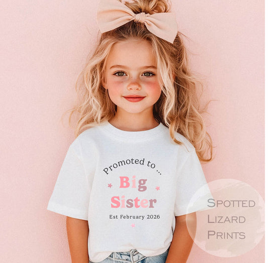 Big Sister Kids T-shirt- Sisters Toddler Clothing Cute T-shirt Siblings Gift Idea - Older Sister Pastel Colours Top, Promoted to Big Sister
