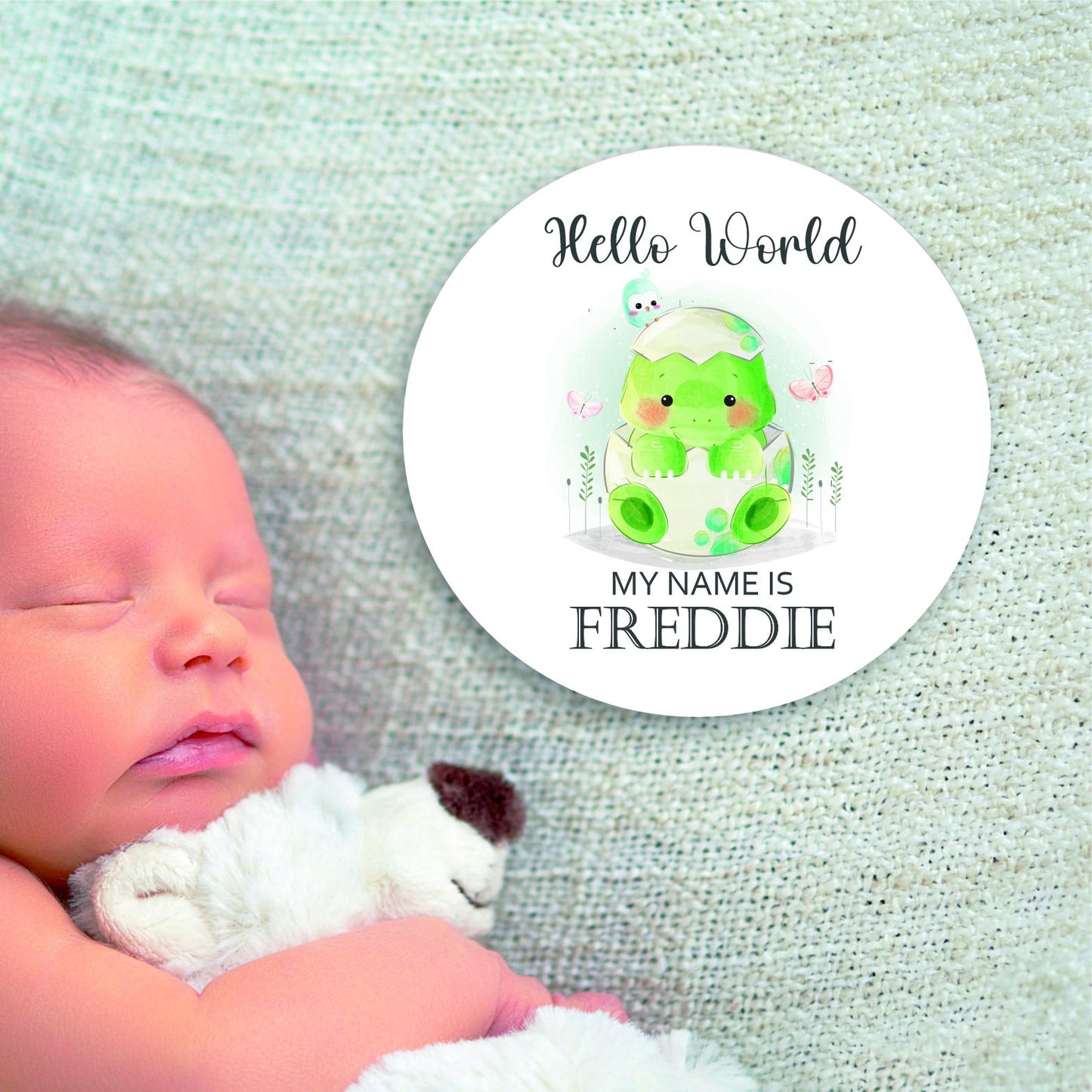 New baby arrival disc Hello World My Name is, New Baby Coasters - Cute Dinosaur