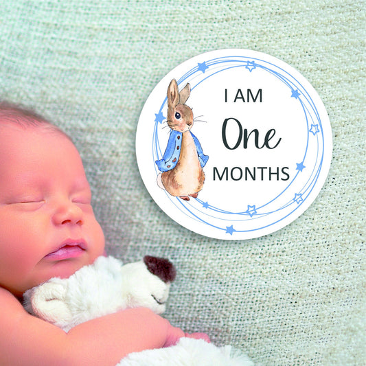 Baby Milestones Coasters, 1 Month to 12 Months, Photo Prop, Baby Shower Gift, New Baby, Peter Rabbit, New Mum Gift, Welcome to the World