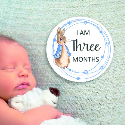 Baby Milestones Coasters, 1 Month to 12 Months, Photo Prop, Baby Shower Gift, New Baby, Peter Rabbit, New Mum Gift, Welcome to the World