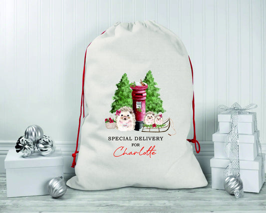 Personalised Cute Hedgehog Santa Sacks | Linen Kids Stockings, Girls/Boys Xmas Gift Bag / Post / Christmas Eve sack