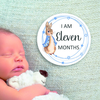 Baby Milestones Coasters, 1 Month to 12 Months, Photo Prop, Baby Shower Gift, New Baby, Peter Rabbit, New Mum Gift, Welcome to the World