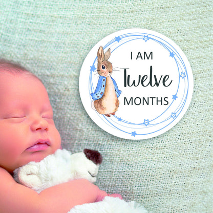 Baby Milestones Coasters, 1 Month to 12 Months, Photo Prop, Baby Shower Gift, New Baby, Peter Rabbit, New Mum Gift, Welcome to the World