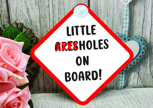 Little Arseholes on Board! Baby on Board Car Sign - Baby on Board | Child on Board