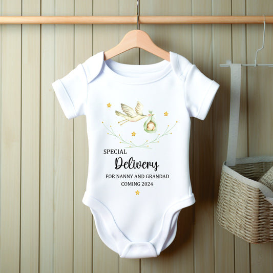 Personalised Special Delivery Stork Baby Announcement Vest/Romper - Pregnancy Reveal - Newborn - Baby Shower Gift - New Grandparents Vest